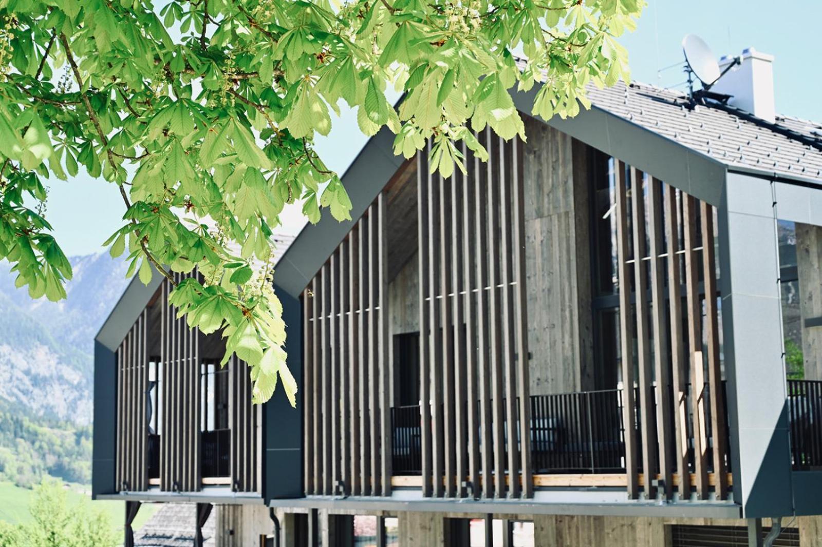 Aloha Suites - Alpin Lodge Haus Haus im Ennstal Exterior photo